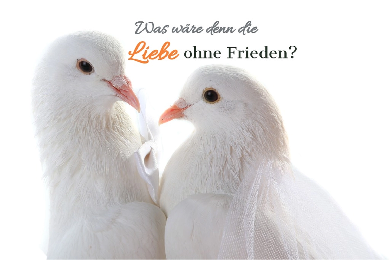 fríeco prílesophiert - Theaterpädagogin - zwei weiße Tauben